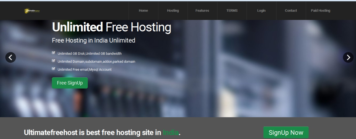 Home hosting. Бесплатный хост lolz. Freedom hosting 2.